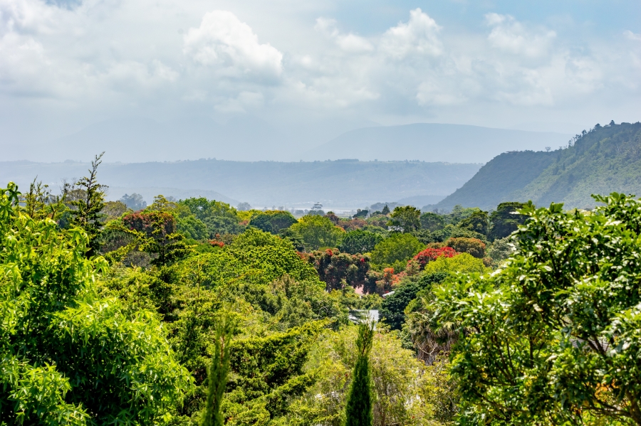 3 Bedroom Property for Sale in The Village Western Cape